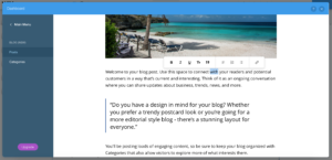 Screenshot of Wix's blogging interface
